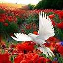 ���� ������, ������, 70 ��� - ��������� 25 ���� 2019 � ������ ������ ��������