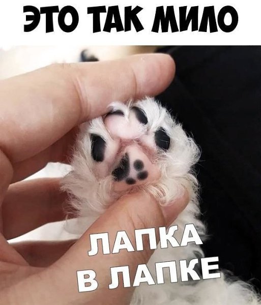    :D - 4  2019  02:30