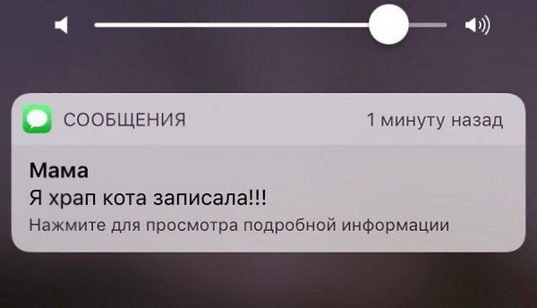   ,    :