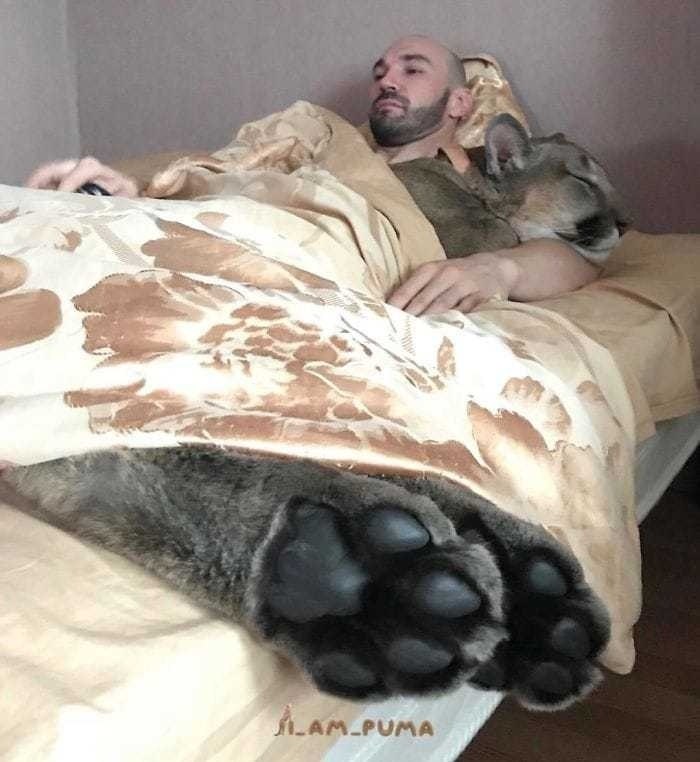               - 6