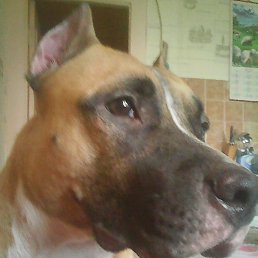 �����, ���������, 47 ���