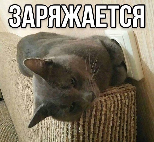    - 20  2019  03:34