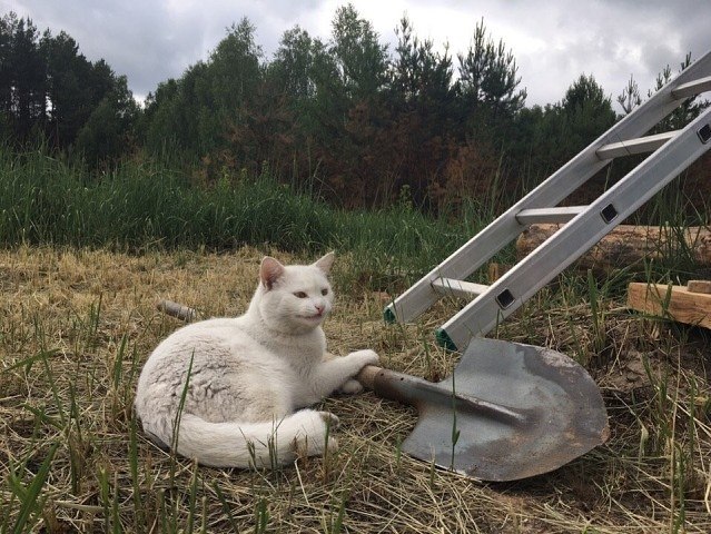     !  !