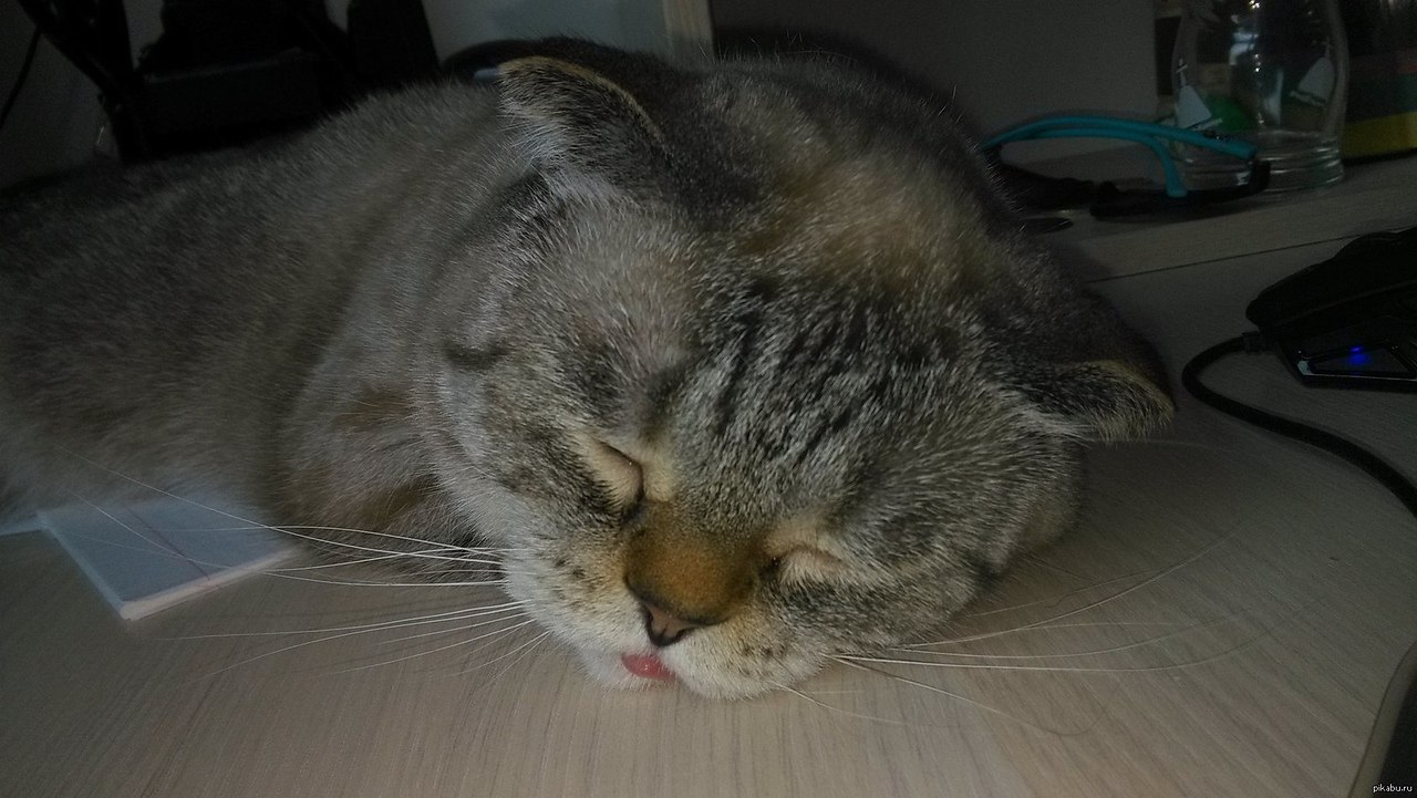   ,      - 2