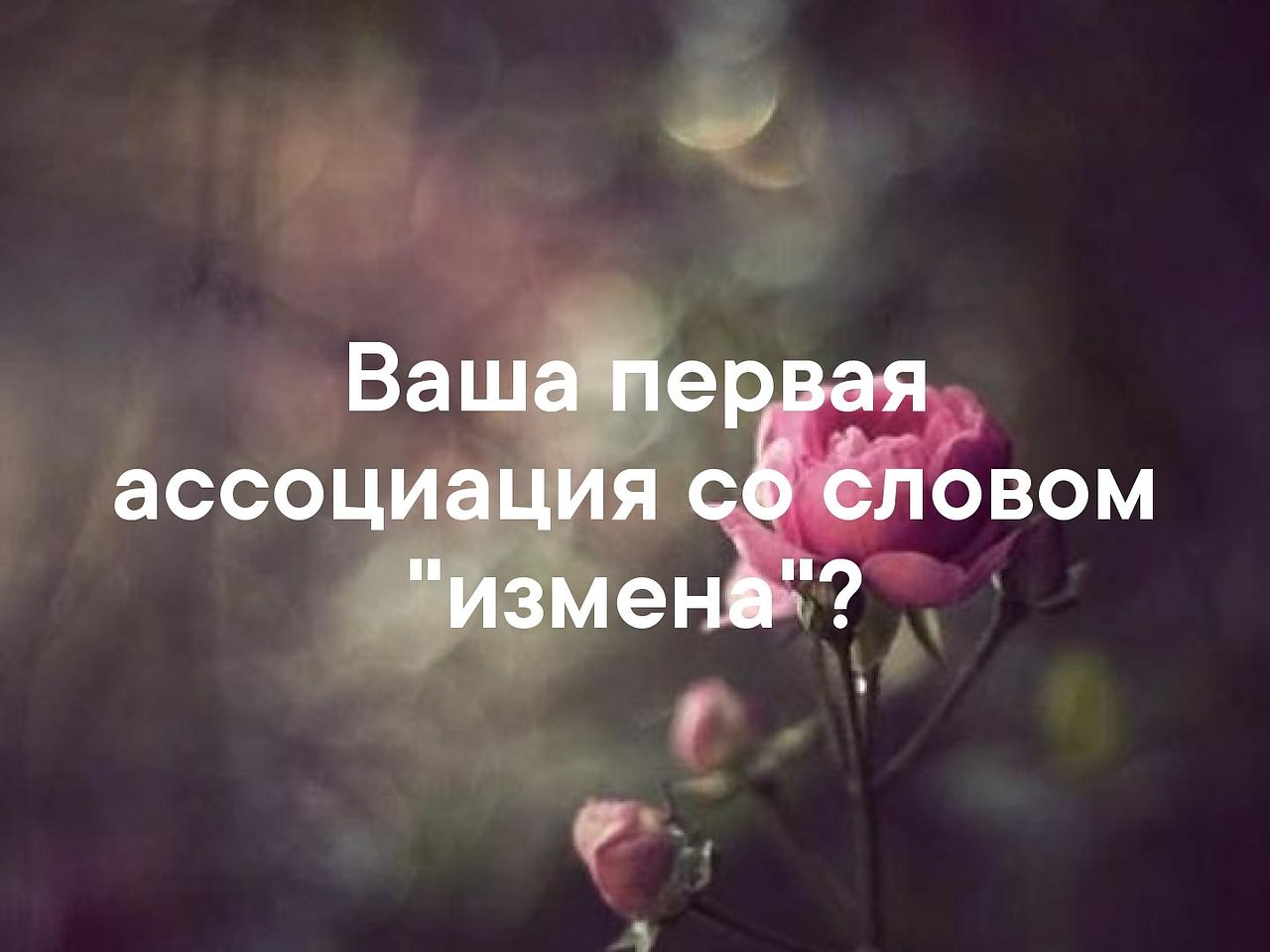   - 23  2019  03:37