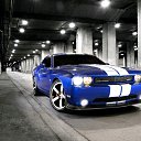 ���� �����, ���������, 39 ��� - ��������� 10 ������� 2019 � ������ ������ ��������