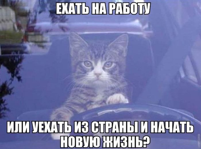Victor - 20  2019  09:38