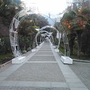 , ,02.01.20.8.40.   , 2020