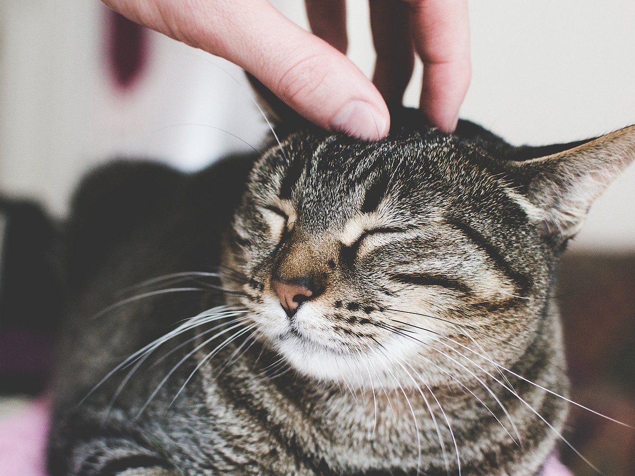  ,     ? -  .  ,    ? - ... - 3