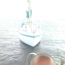 ���� ������, ������� - ��������� 12 ������� 2019