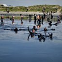  , , 68  -  29  2019   -2019