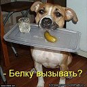 ���� ������, �����-���������, 67 ��� - ��������� 28 ������� 2019 � ������ ������ ��������
