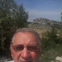 ***����� ***, �������, 74 ����