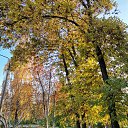  , , 50  -  9  2019    2019