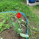 ���� ������, ������� - ��������� 12 ������� 2019 � ������ ���� ����������