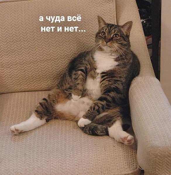   ,   - 3