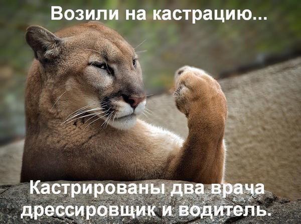 Роза Марковна, я негодую. Он назвал меня дурочкой.- Деточка, это пройдёт- Перестанет обзывать ?- ...