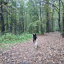 ���� �����, ������, 47 ��� - ��������� 26 �������� 2019 � ������ ���� ����������