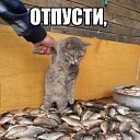 ���� ������, ����������, 58 ��� - ��������� 9 ������� 2019 � ������ ������ ��������