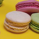 ���� ���������, �����-��������� - ��������� 6 ������ 2019 � ������ ���� �������