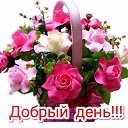 ���� ��������, ����������, 51 ��� - ��������� 17 �������� 2019 � ������ ���� ����������