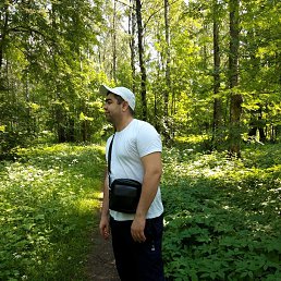 �����, �����-���������, 37 ���