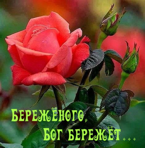    ,      .     ,    ...