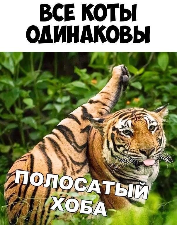    :D - 4  2019  02:30