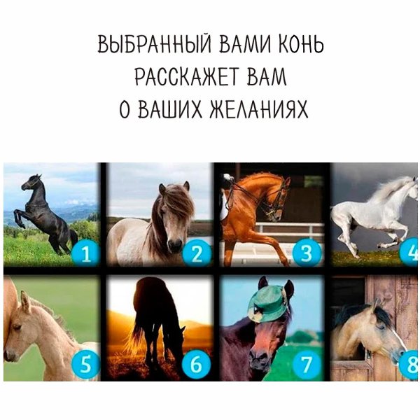 Проходите тест и ждите следующий пост, там будут ответы.#тест@psyxov