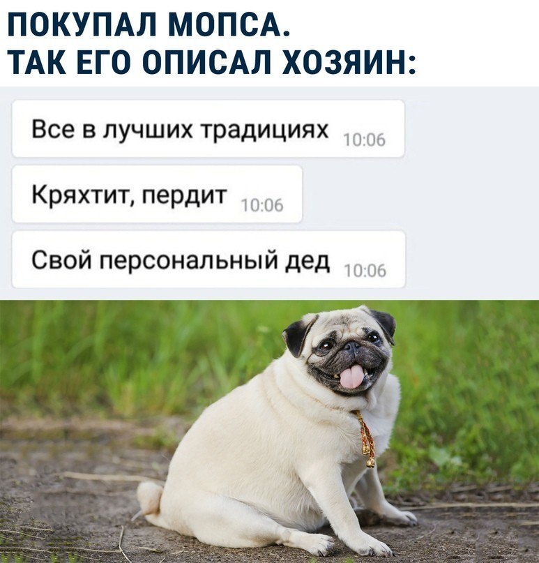 ***Victoria Viktorovna*** - 13  2019  07:02