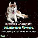 ���� ��������, ����-�����������, 51 ��� - ��������� 16 ��� 2019 � ������ ���� ����������