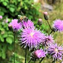 ���� Ashot, ������, 67 ��� - ��������� 17 ���� 2019 � ������ ������ ��������