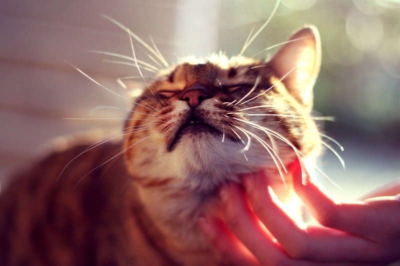  ,     ? -  .  ,    ? - ... - 4