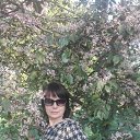 ���� �����, ������ - ��������� 20 ��� 2019 � ������ ���� ����������