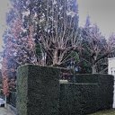 ���� ��������, ������, 67 ��� - ��������� 30 ������ 2019 � ������ ����������� ��������"19�