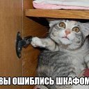 ���� Grus, �������� - ��������� 21 ������ 2019 � ������ ��������