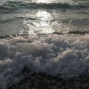 ���� ������, ���������� - ��������� 20 ������� 2019 � ������ ���� ����������