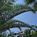 ...��� ��������� ���� ���... ������== �� ������� ���������� ������