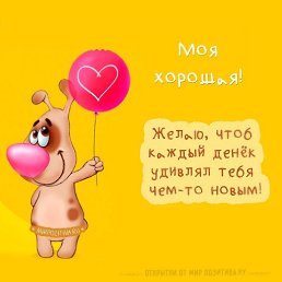 �������, ������������, 48 ���