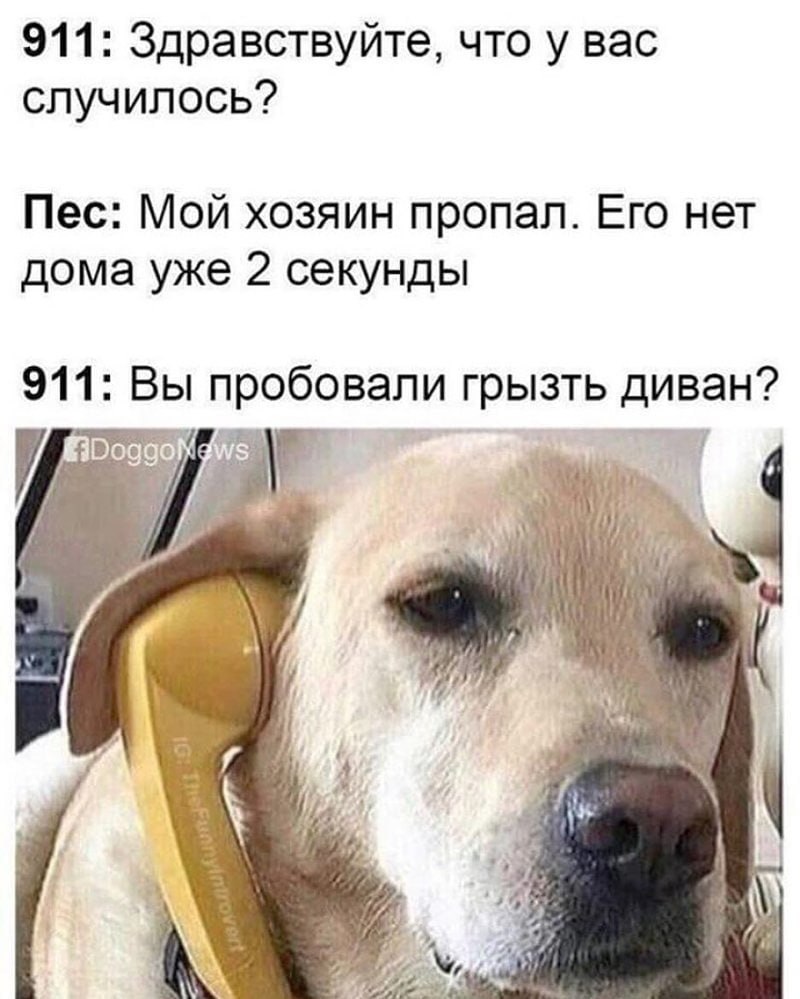  - 6  2019  02:42