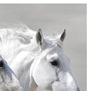 ���� ������, ���� - ��������� 8 ������� 2019 � ������ ���� ����������