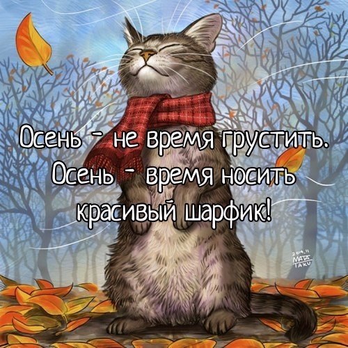    - 8  2019  03:26