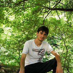 Tazo, �������, 41 ���