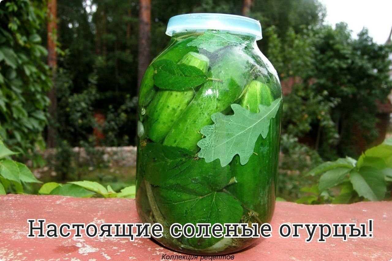 #заготовки #консервация.на 3-х литровую банку. огурцы - 1, 5 - 2 кг; вода (только колодезная, или ...