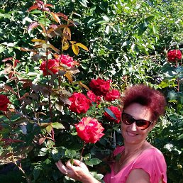 Svetlana, ����������, 53 ����