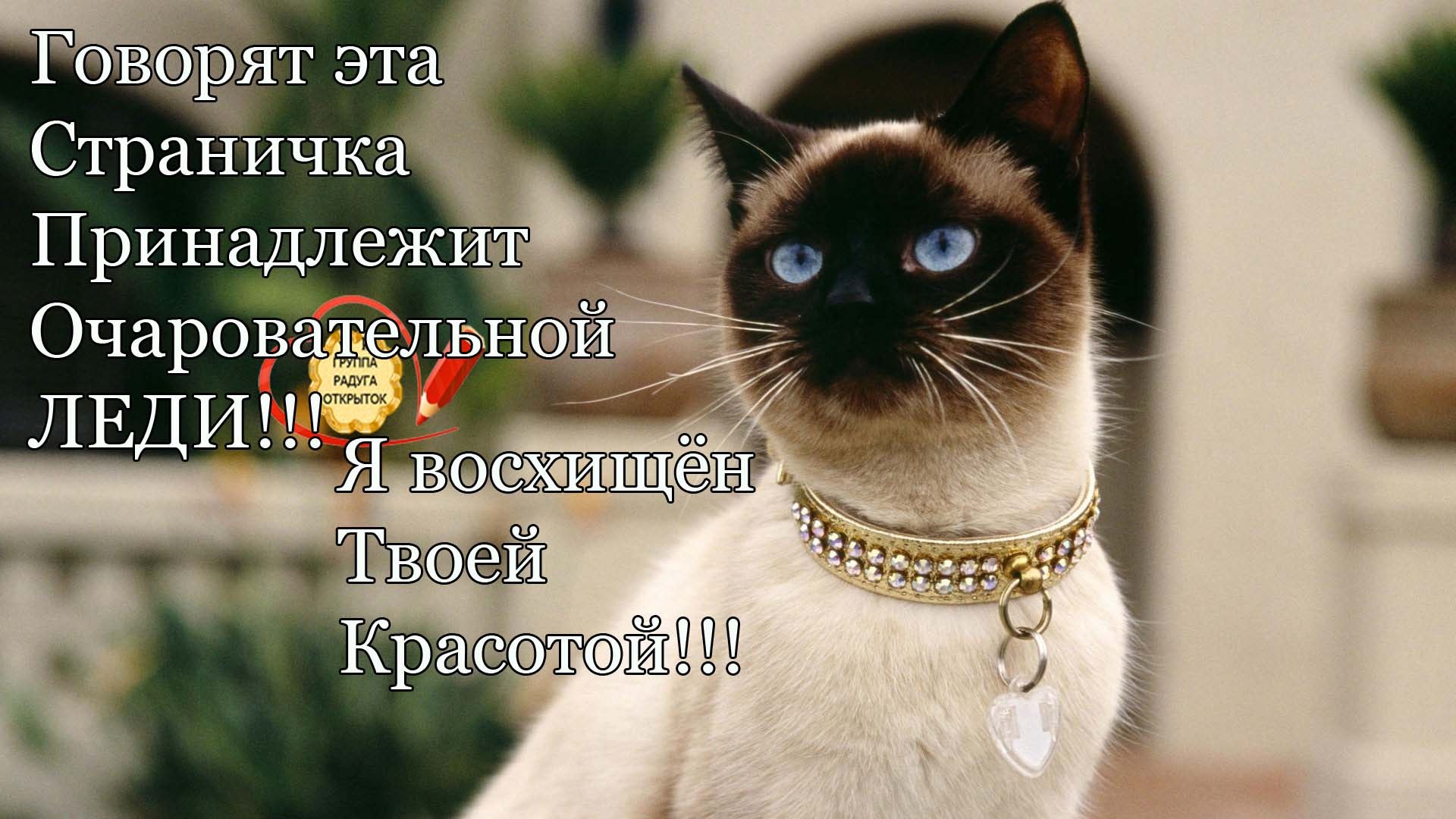  - 1  2019  22:38