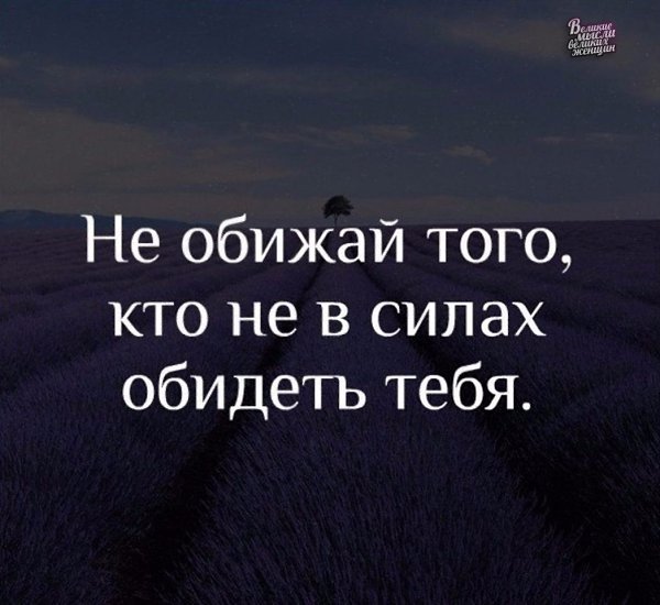     - 17  2019  03:37