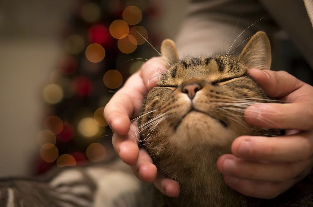  ,     ? -  .  ,    ? - ... - 2