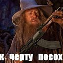 ���� �����������, ������� - ��������� 24 ���� 2019 � ������ ������ ��������