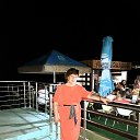  , -, 60  -  29  2019    